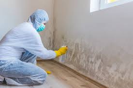 South Roxana, IL Mold Removal Services Company